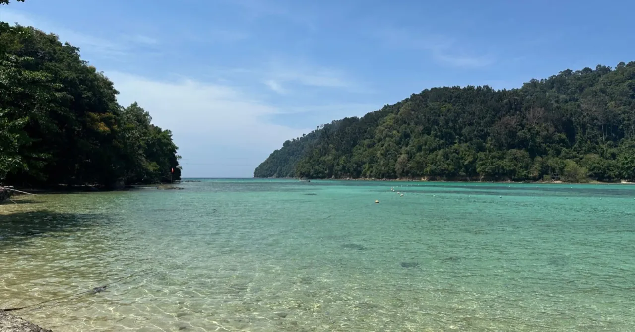 透明な海と緑に囲まれた島のビーチ