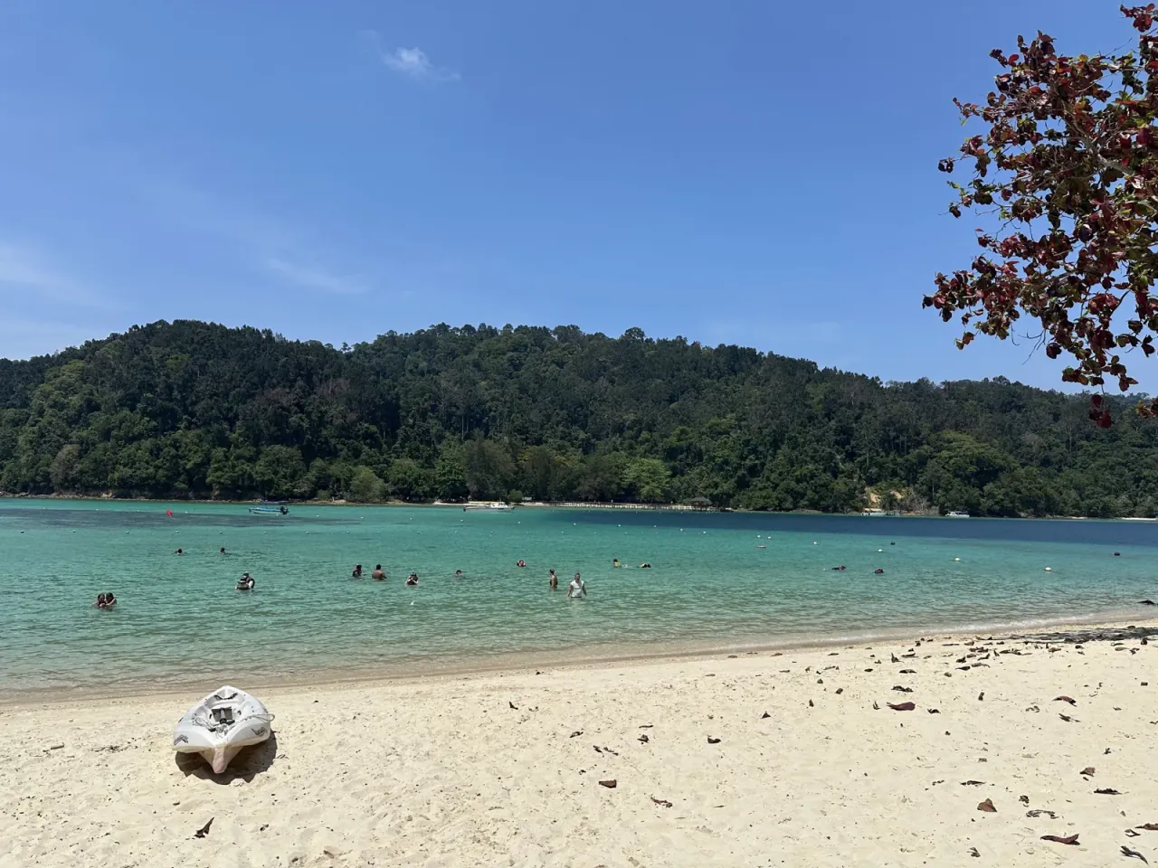 海水浴客が泳ぐサピ島のビーチと緑の山
